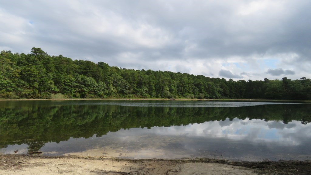 65 Simmons Pond Road West Dennis, MA 02638 - Photo 1 of 4 Gallery Image 1