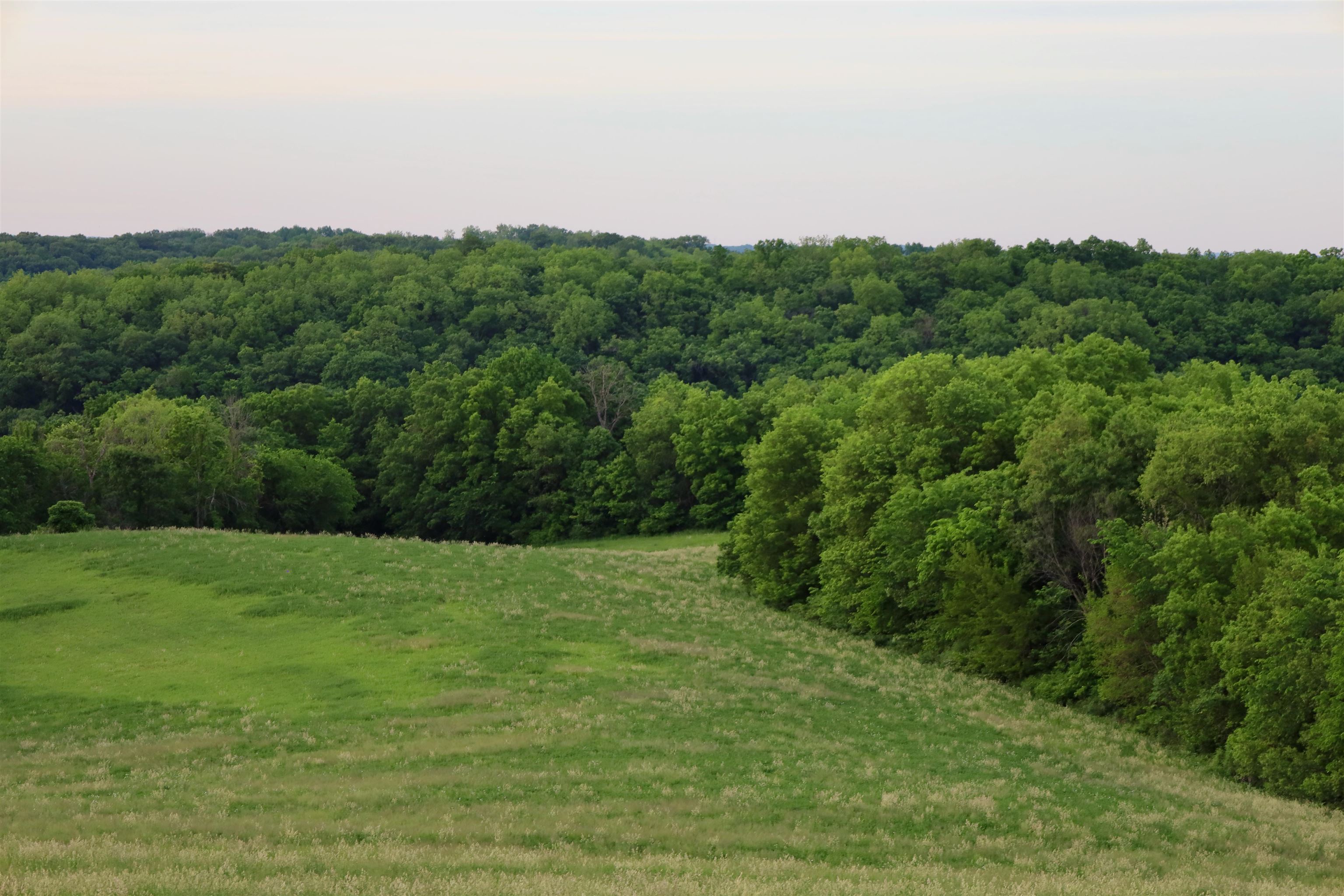 0 County M Boscobel, WI 53805 - Photo 24 of 32