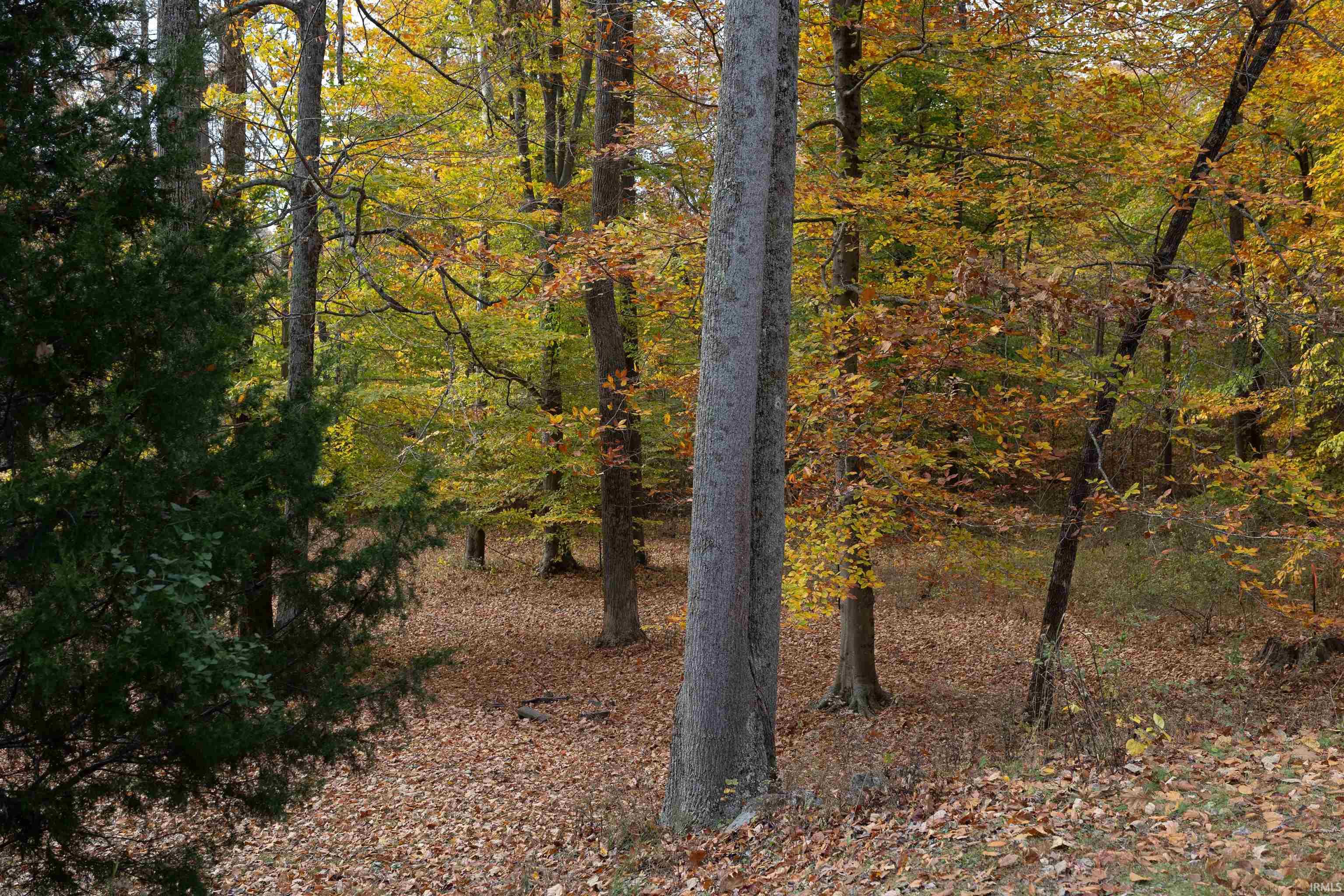 4780 Kings Ridge Road Mitchell, IN 47446 - Photo 25 of 27