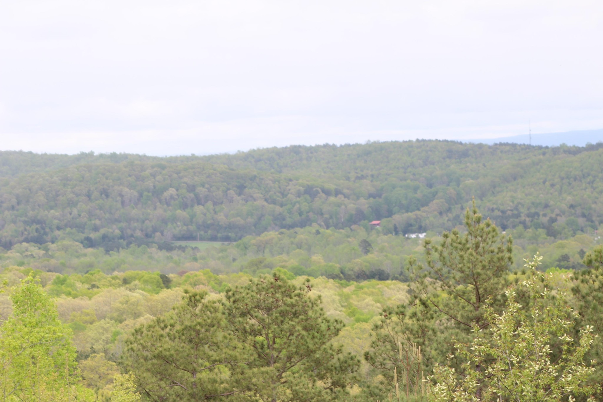 2 Northwest Van Davis Road Charleston, TN 37310 - Photo 4 of 5