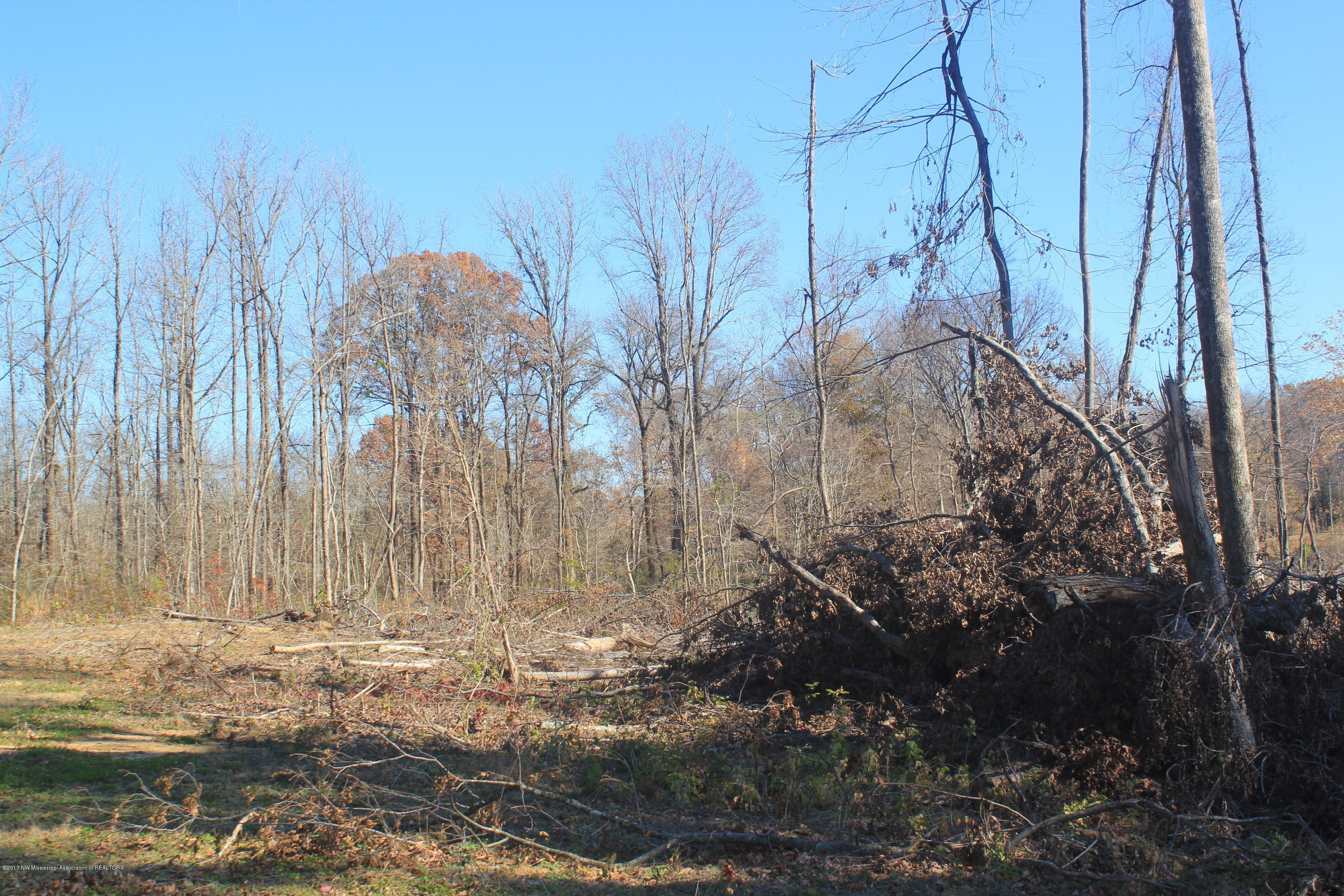 5521 Poplar Corner Road Walls, MS 38680 - Photo 19 of 21 019