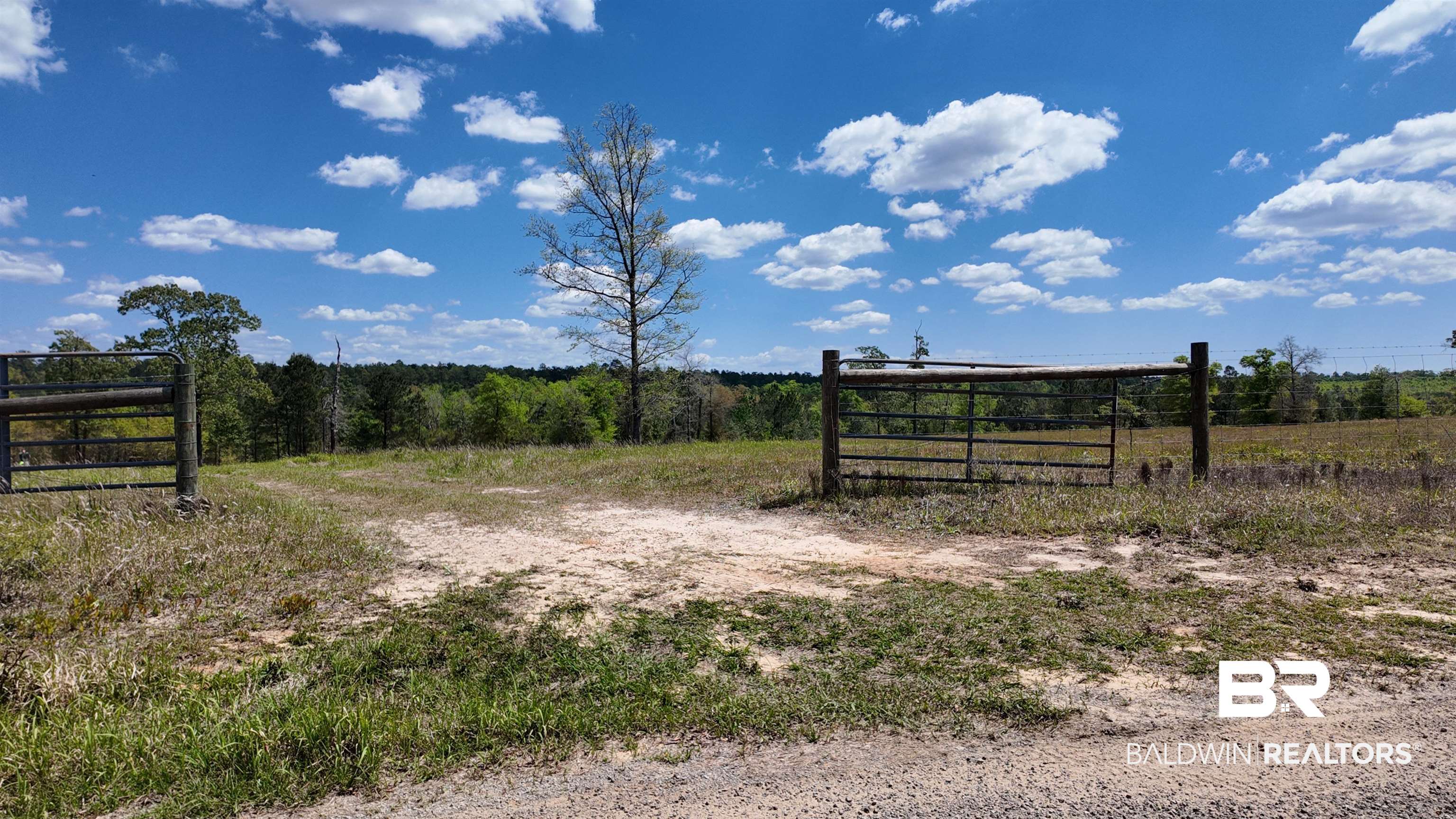 0 Powell Road Eight Mile, AL 36613 - Photo 17 of 57