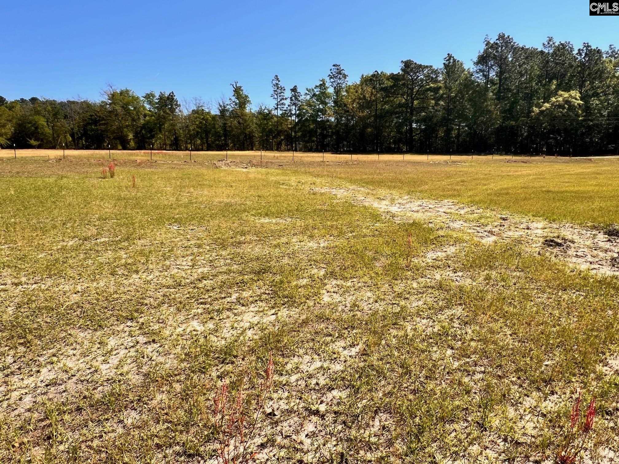 0 Shadow Lane Wagener, SC 29164 - Photo 5 of 6