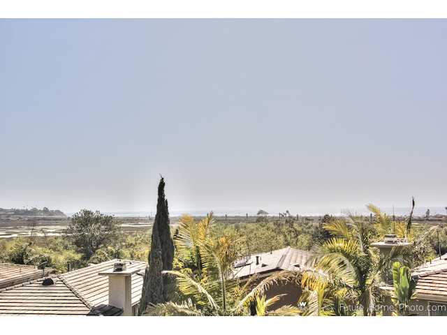 2729 MacKinnon Ranch Road Cardiff-by-the-Sea, CA 92007 - Photo 3 of 20