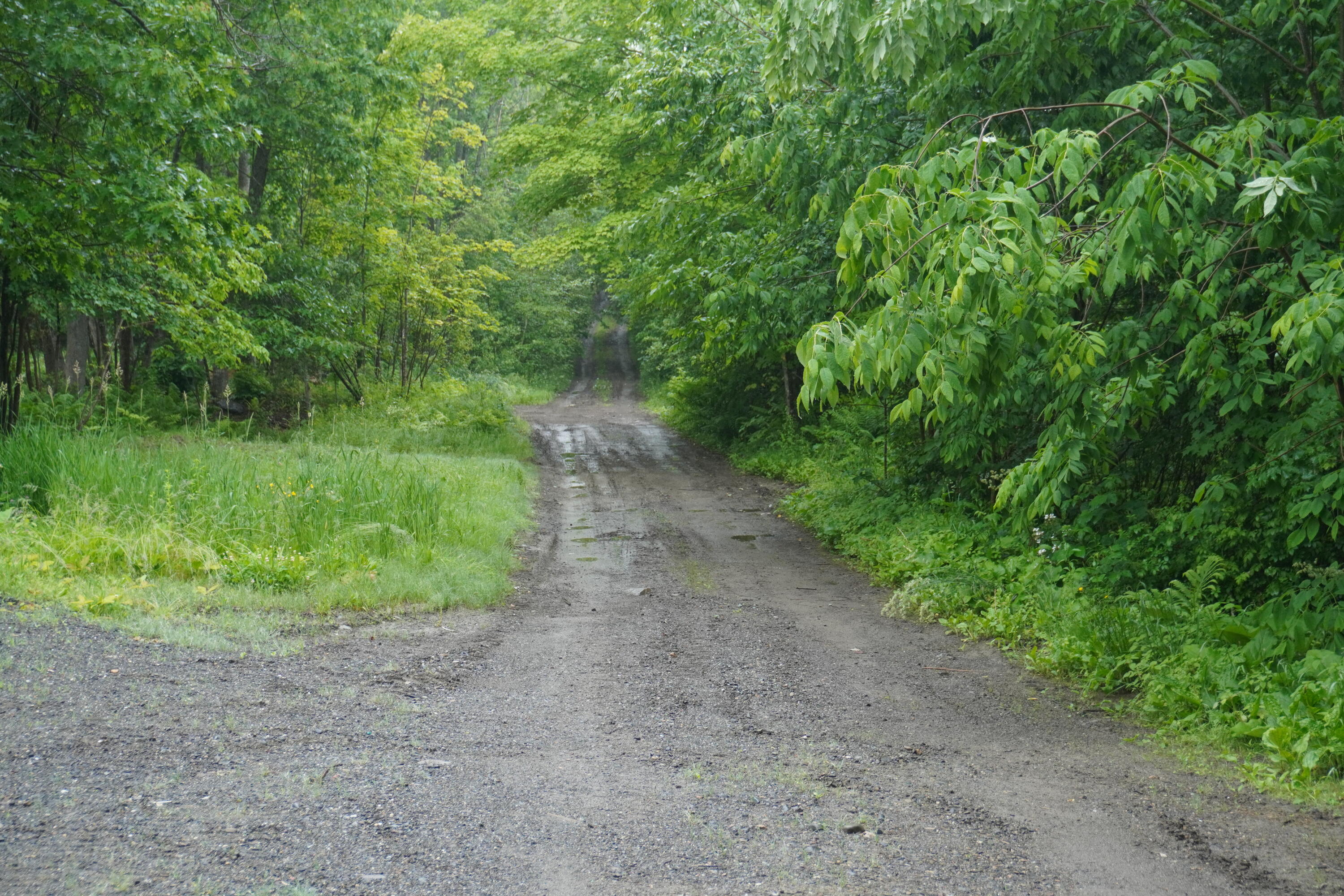 Lot 23 Wilson Road Milo, ME 04463 - Photo 2 of 7 ROW