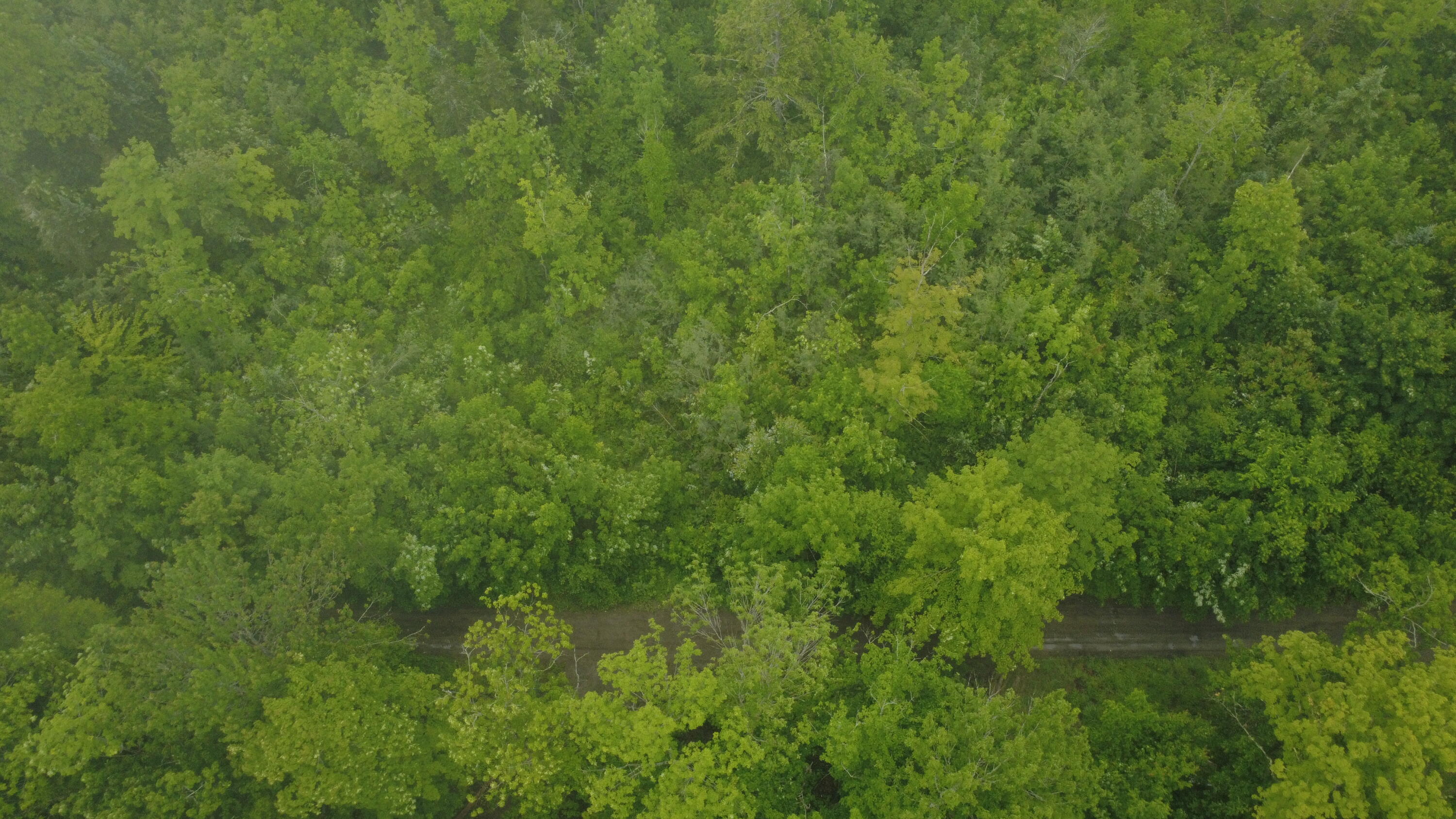 Lot 23 Wilson Road Milo, ME 04463 - Photo 3 of 7 Aerial