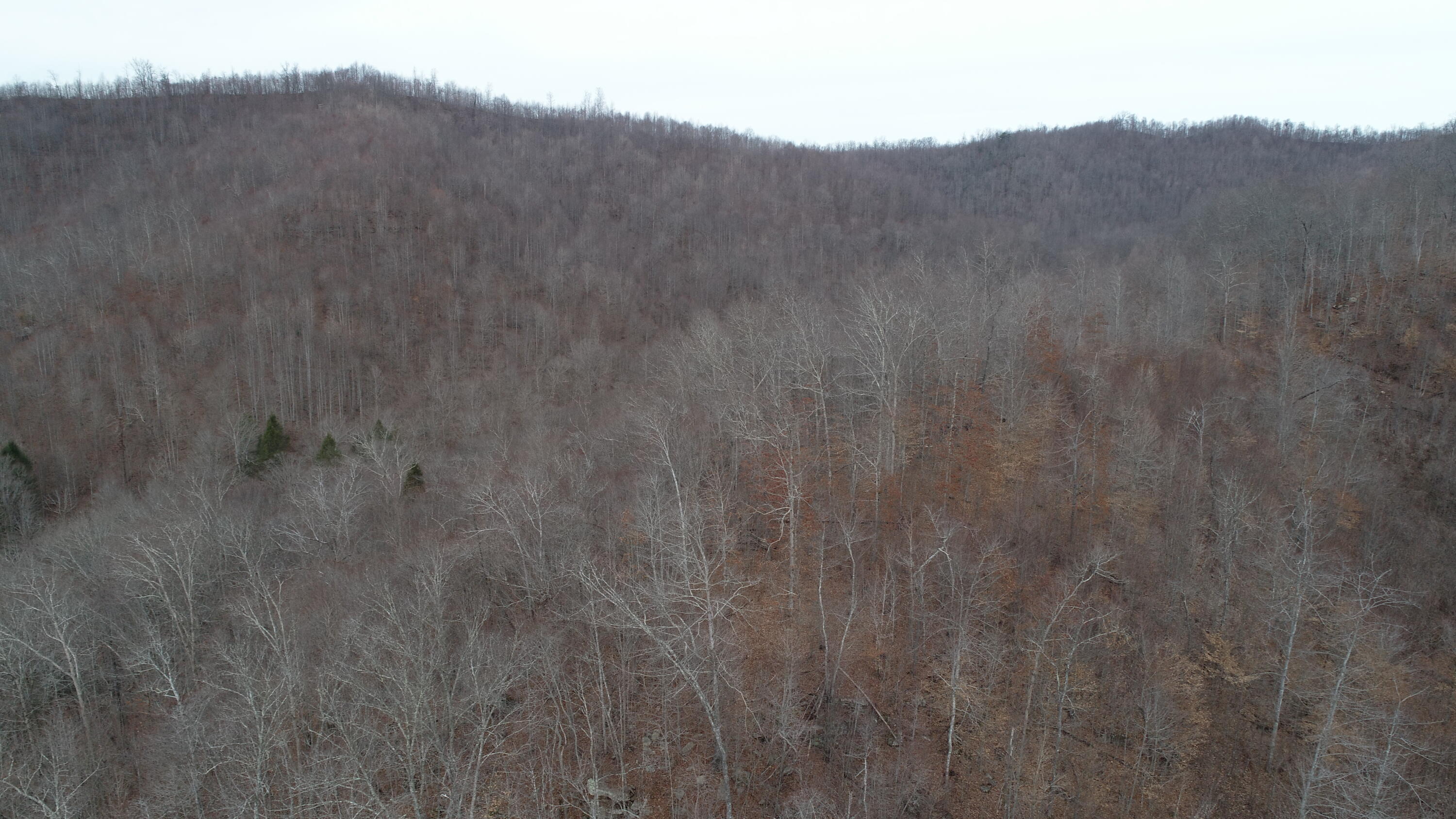 9999 Henry Branch Rd Flat Walker, KY 40997 - Photo 14 of 14 DJI_0403
