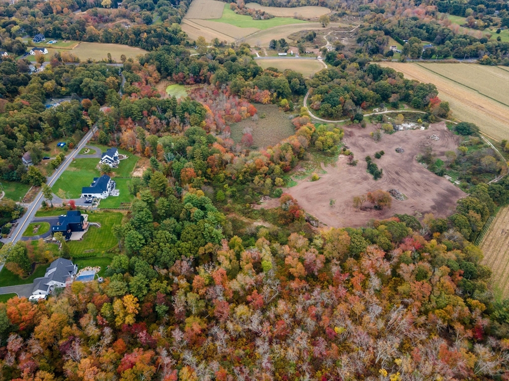 209 Providence Street Rehoboth, MA 02769 - Photo 2 of 7 a view of a yard with plants and large trees
