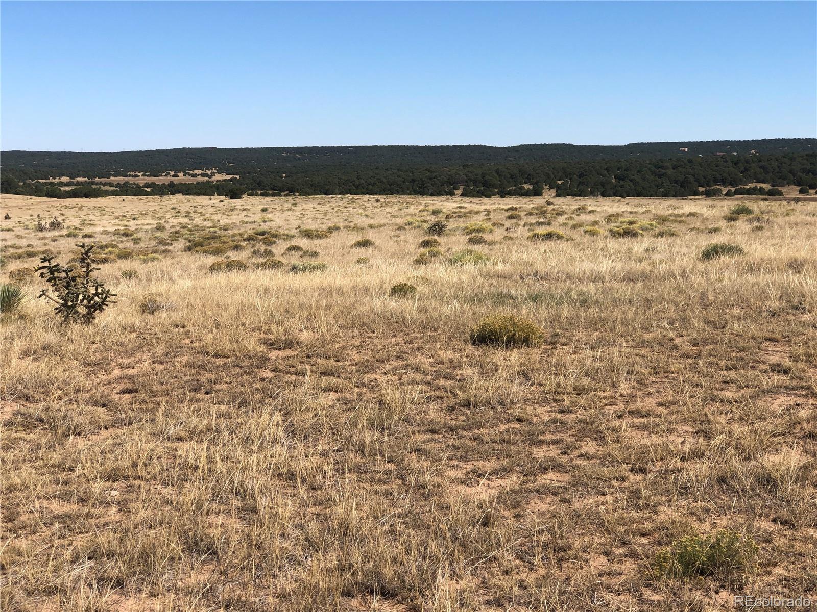 Lot 46 River Ridge Ranch Walsenburg, CO 81089 - Photo 4 of 17 a view of ocean view