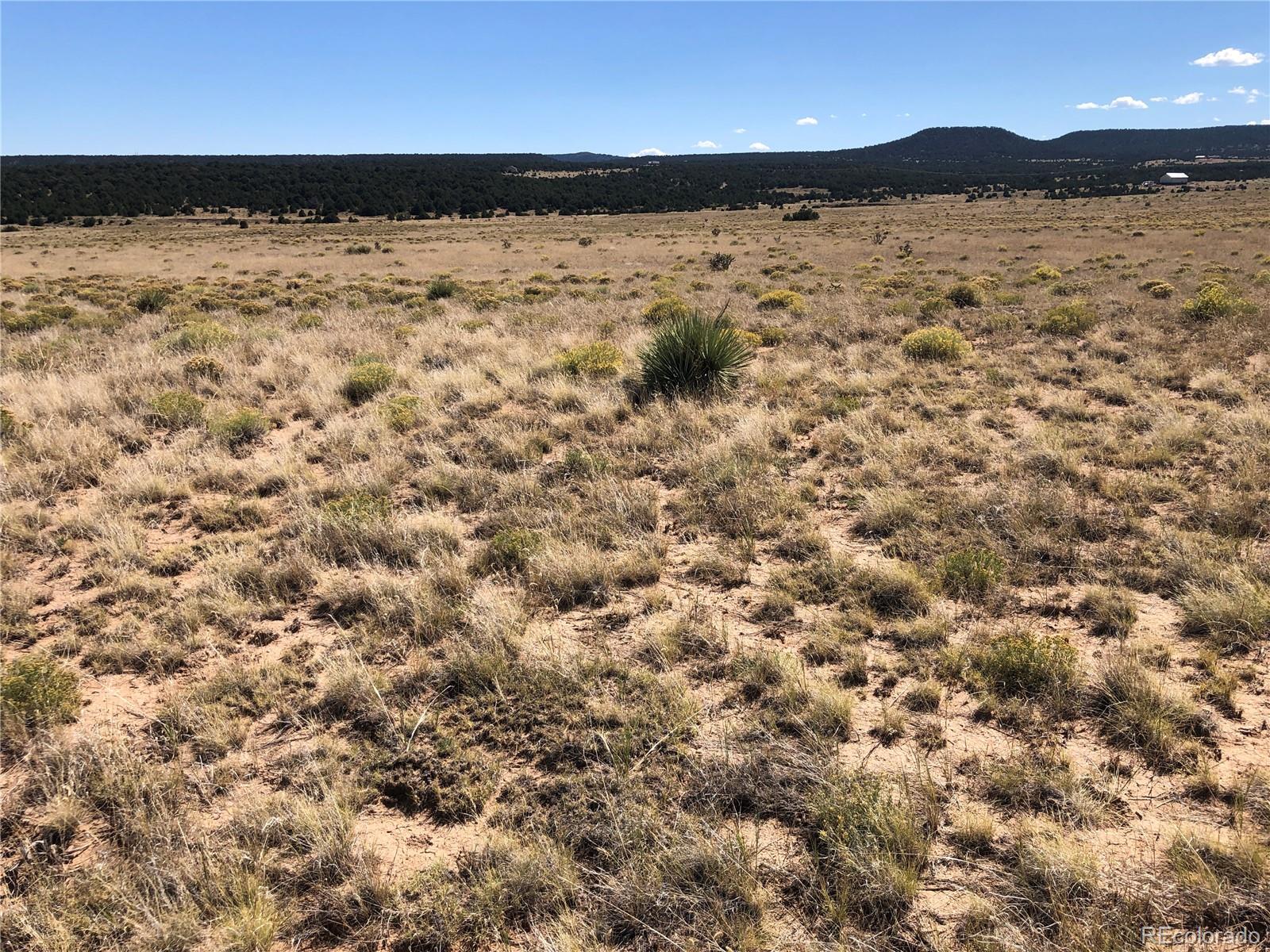 Lot 46 River Ridge Ranch Walsenburg, CO 81089 - Photo 9 of 17 a view of ocean view