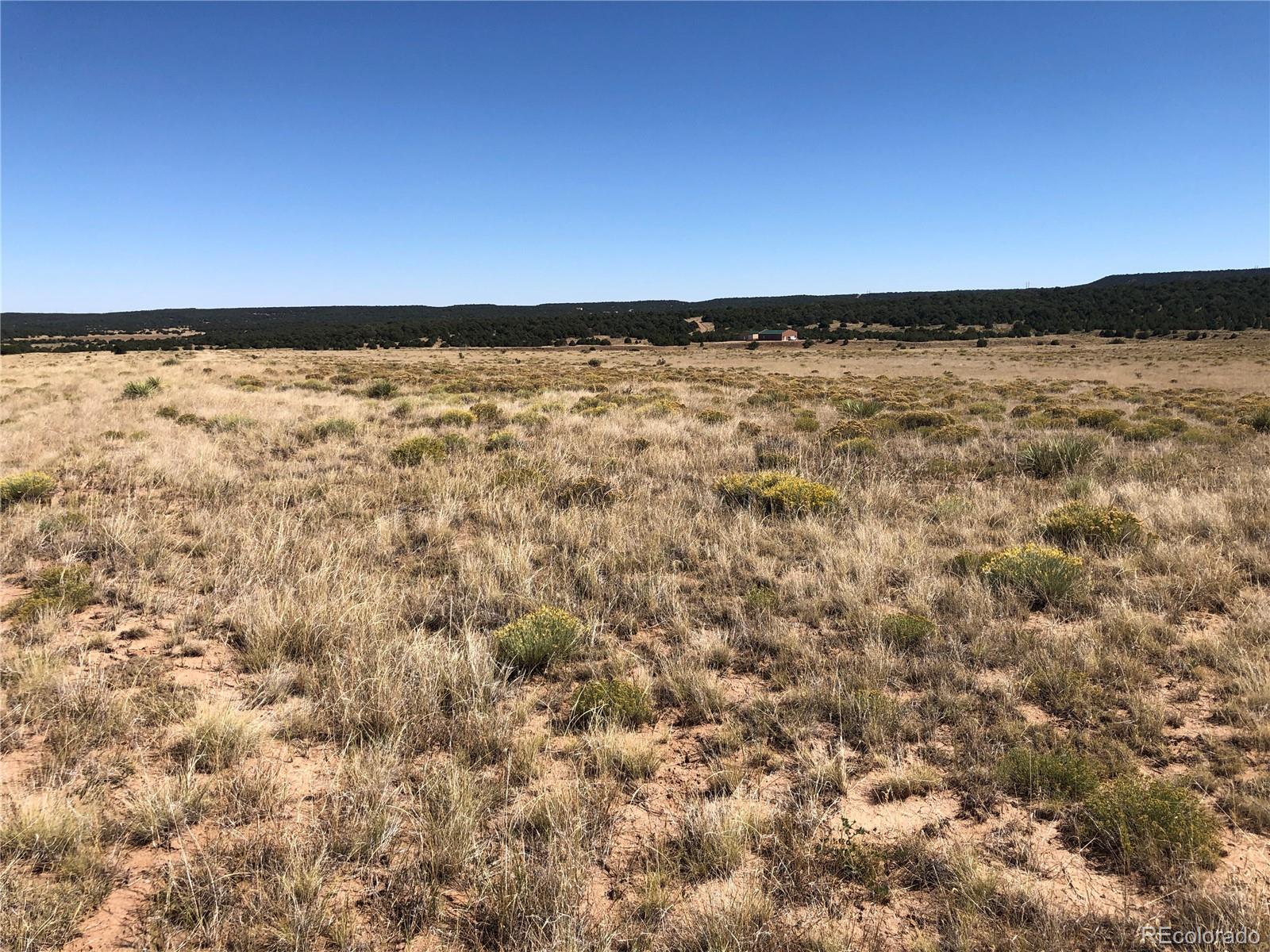 Lot 46 River Ridge Ranch Walsenburg, CO 81089 - Photo 10 of 17