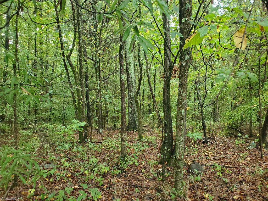 9381 Harris Road Concord, NC 28027 - Photo 8 of 9 Gallery Image 8