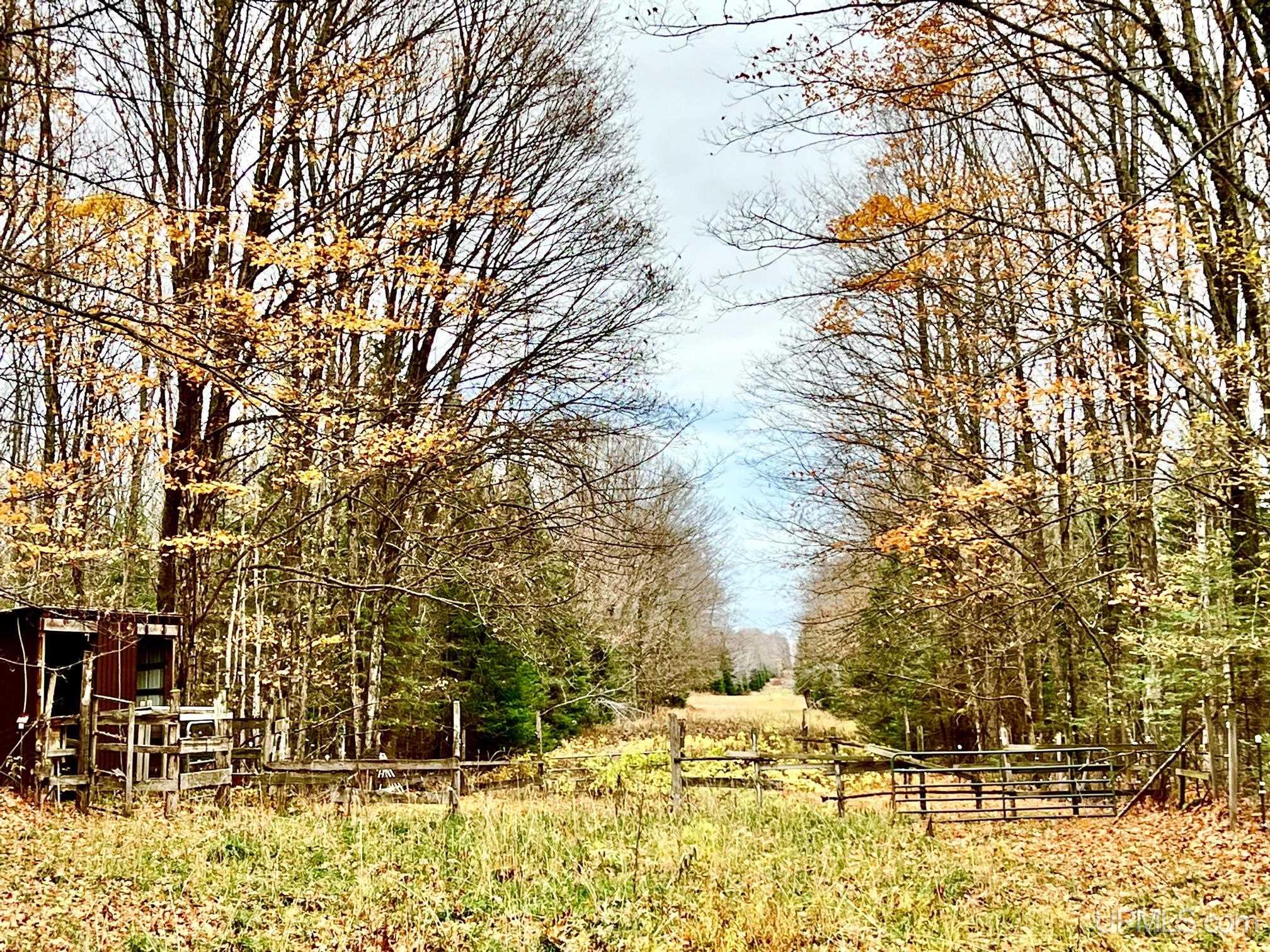 W8487 Leeman Road Sagola, MI 49881 - Photo 8 of 28