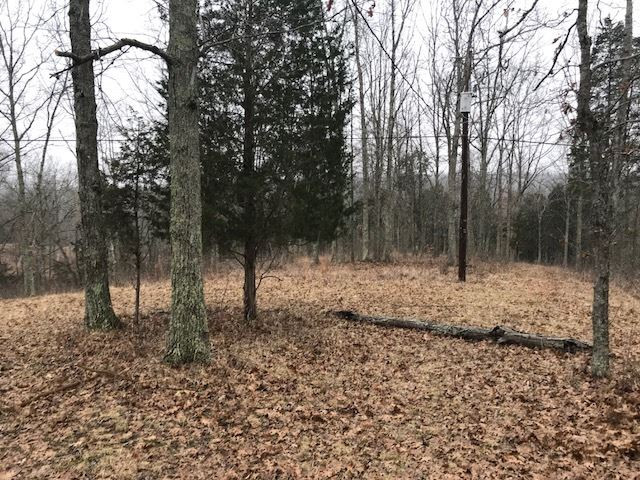 1642 Ogden Ridge Road Mount Olivet, KY 41064 - Photo 2 of 12 Gallery Image 2