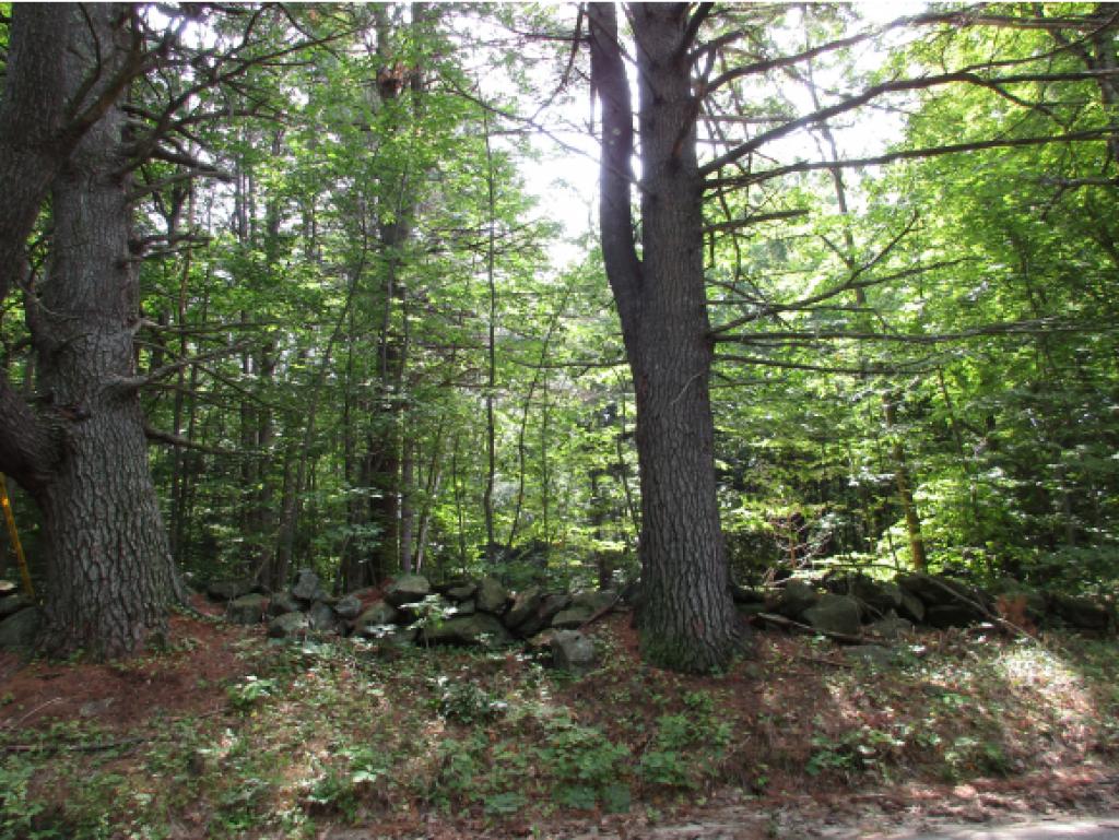 0 Valley Road Dublin, NH 03444 - Photo 2 of 4