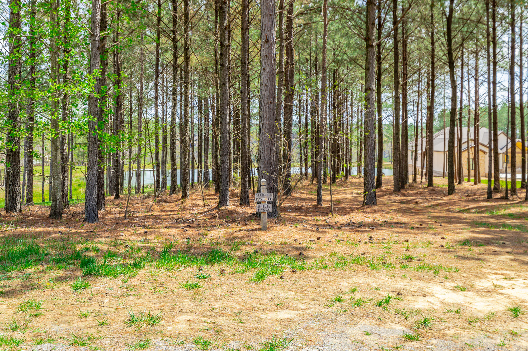 3839 Crockett Pointe, Unit JF151B Jasper, TN 37347 - Photo 11 of 95 0 Crockette Point Lot JF151B HD-3