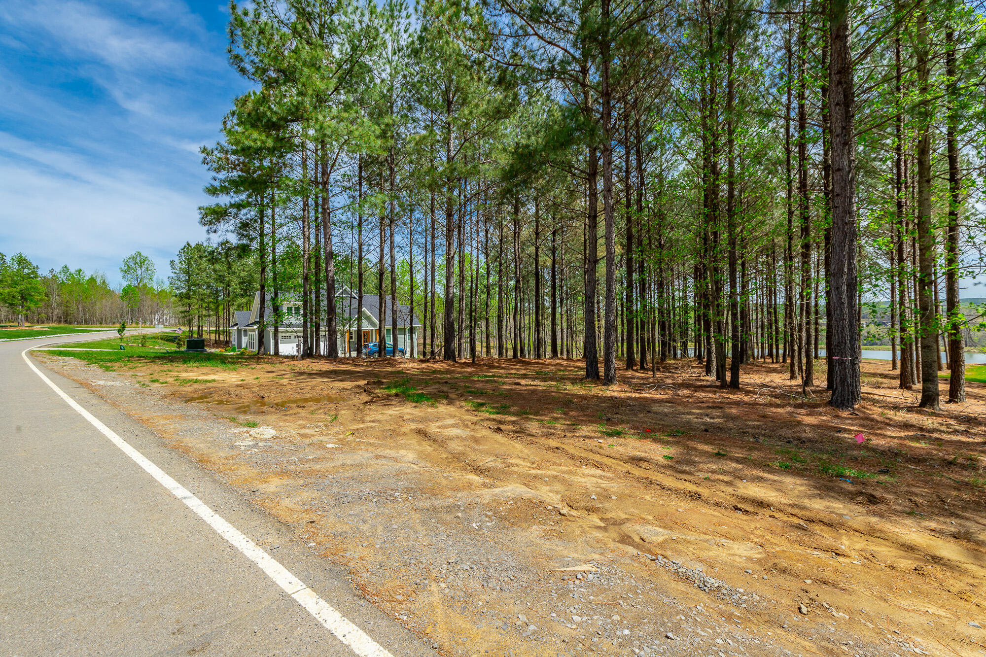 3839 Crockett Pointe, Unit JF151B Jasper, TN 37347 - Photo 13 of 95 0 Crockette Point Lot JF151B HD-5