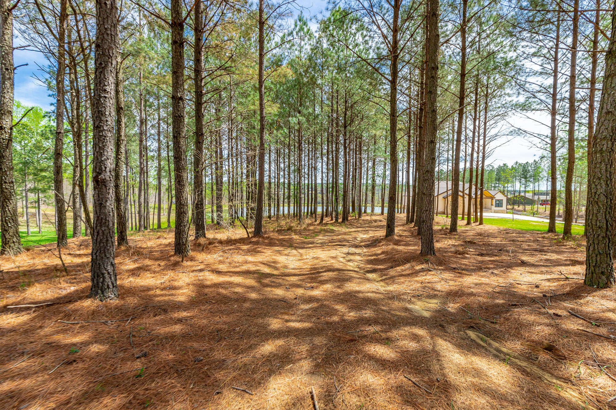 3839 Crockett Pointe, Unit JF151B Jasper, TN 37347 - Photo 18 of 95 0 Crockette Point Lot JF151B HD-10