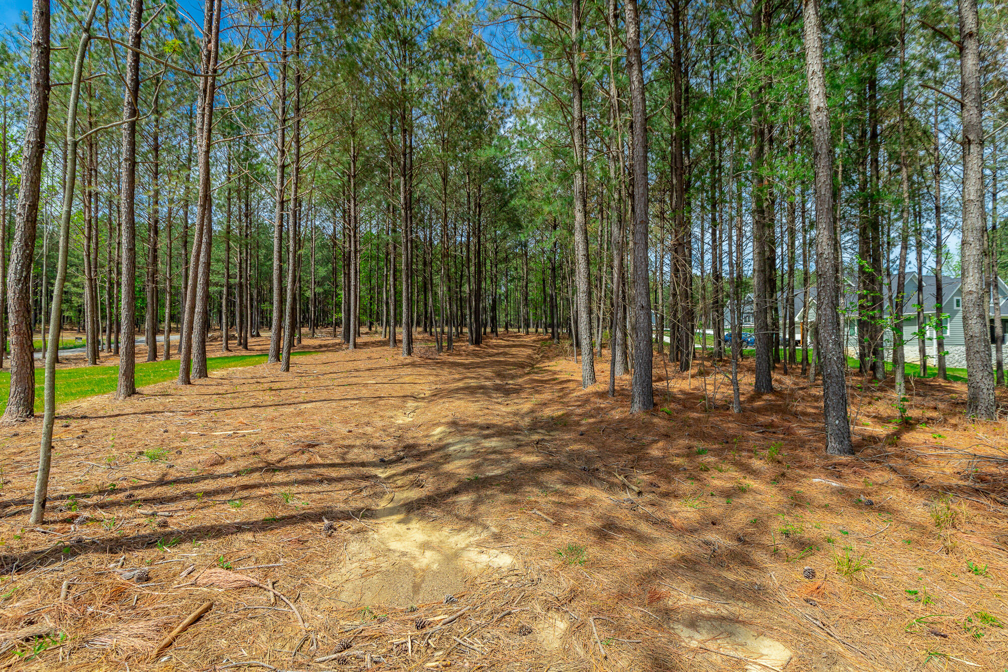 3839 Crockett Pointe, Unit JF151B Jasper, TN 37347 - Photo 19 of 95 0 Crockette Point Lot JF151B HD-19