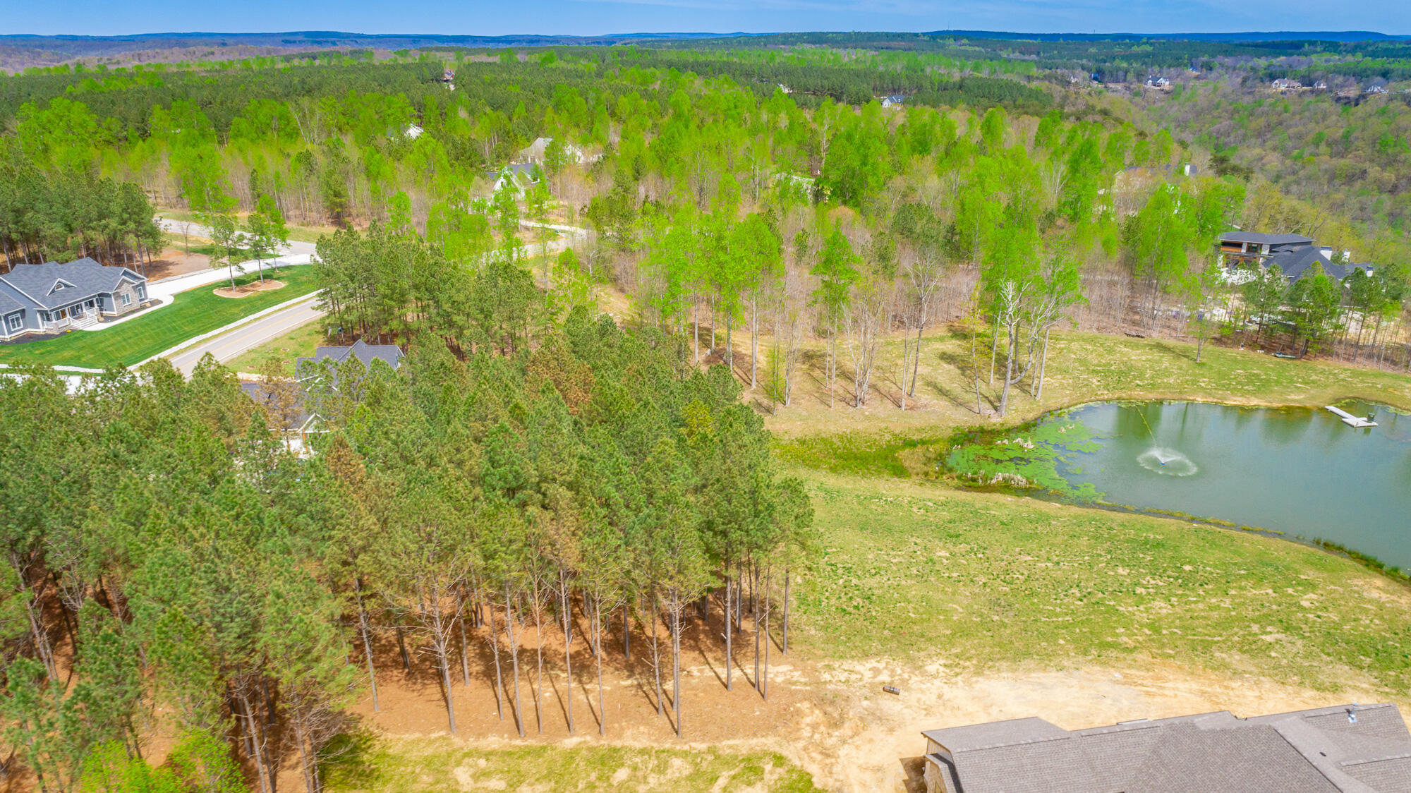 3839 Crockett Pointe, Unit JF151B Jasper, TN 37347 - Photo 36 of 95 0 Crockette Point Lot JF151B HD-36