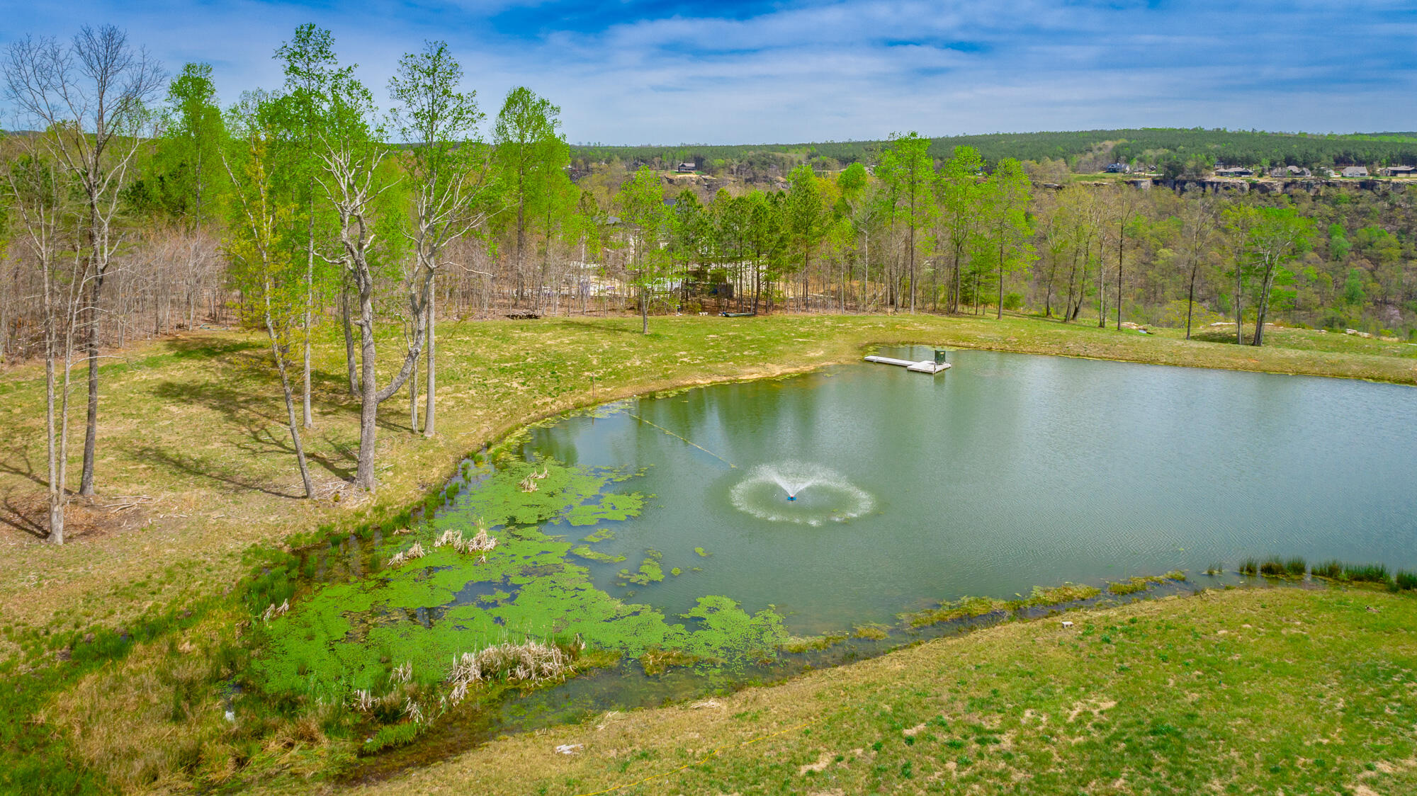 3839 Crockett Pointe, Unit JF151B Jasper, TN 37347 - Photo 52 of 95 0 Crockette Point Lot JF151B HD-58