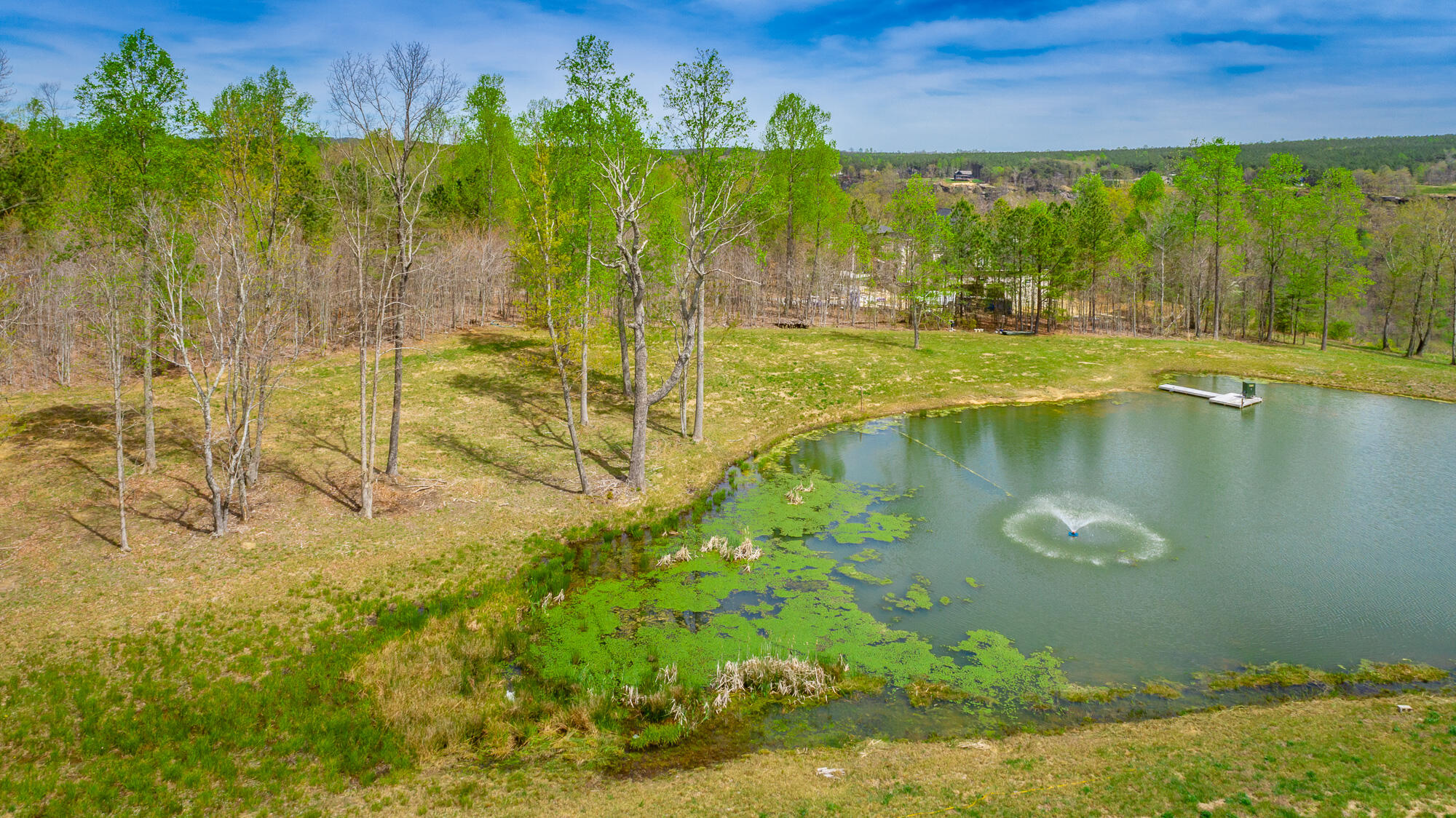 3839 Crockett Pointe, Unit JF151B Jasper, TN 37347 - Photo 54 of 95 0 Crockette Point Lot JF151B HD-60