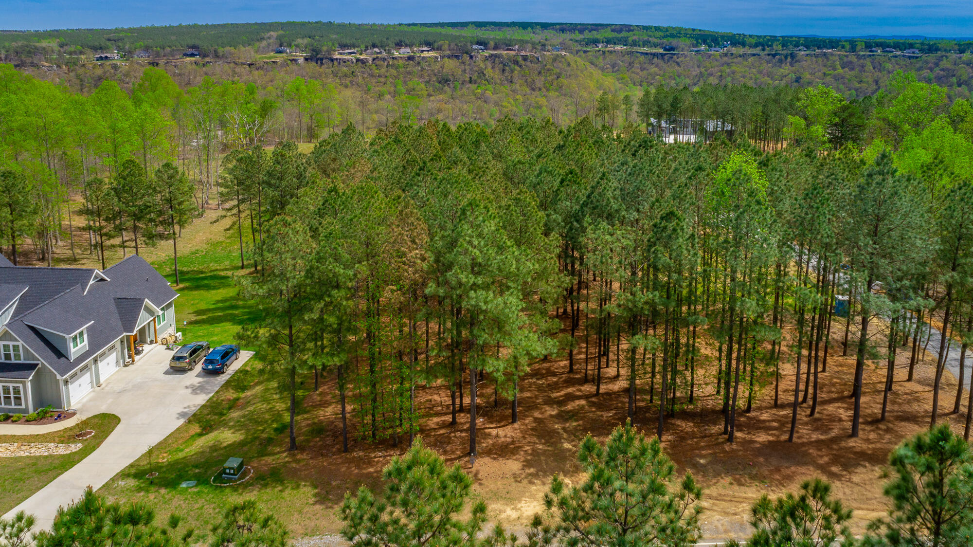 3839 Crockett Pointe, Unit JF151B Jasper, TN 37347 - Photo 60 of 95 0 Crockette Point Lot JF151B HD-66