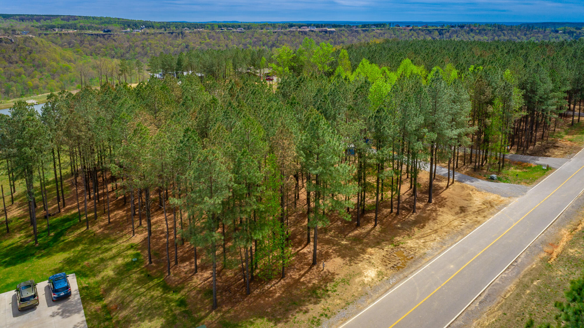 3839 Crockett Pointe, Unit JF151B Jasper, TN 37347 - Photo 61 of 95 0 Crockette Point Lot JF151B HD-67