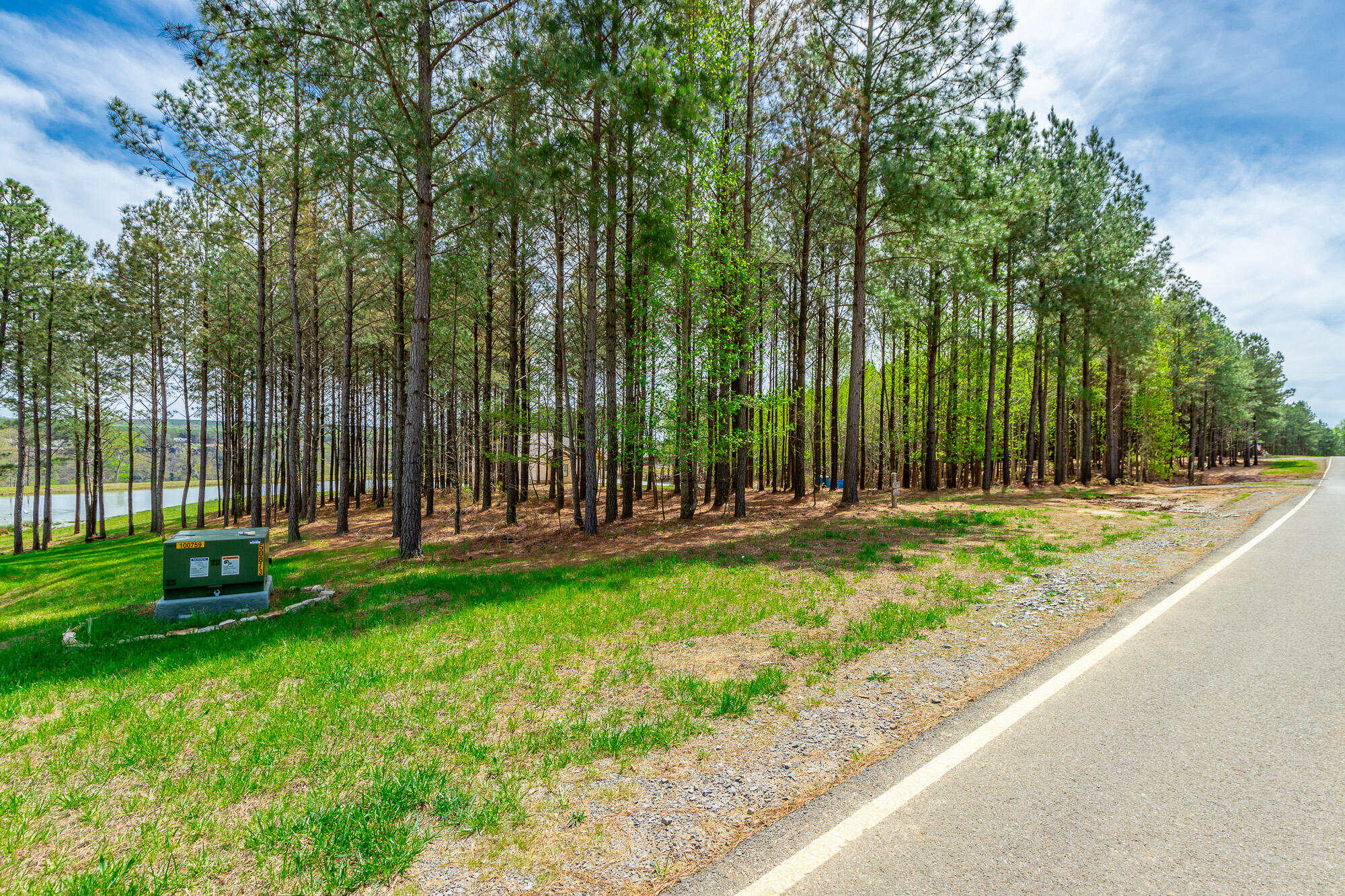 3839 Crockett Pointe, Unit JF151B Jasper, TN 37347 - Photo 62 of 95 0 Crockette Point Lot JF151B HD