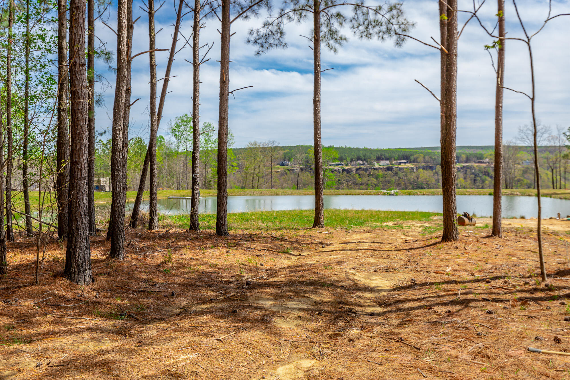 3839 Crockett Pointe, Unit JF151B Jasper, TN 37347 - Photo 9 of 95 0 Crockette Point Lot JF151B HD-12