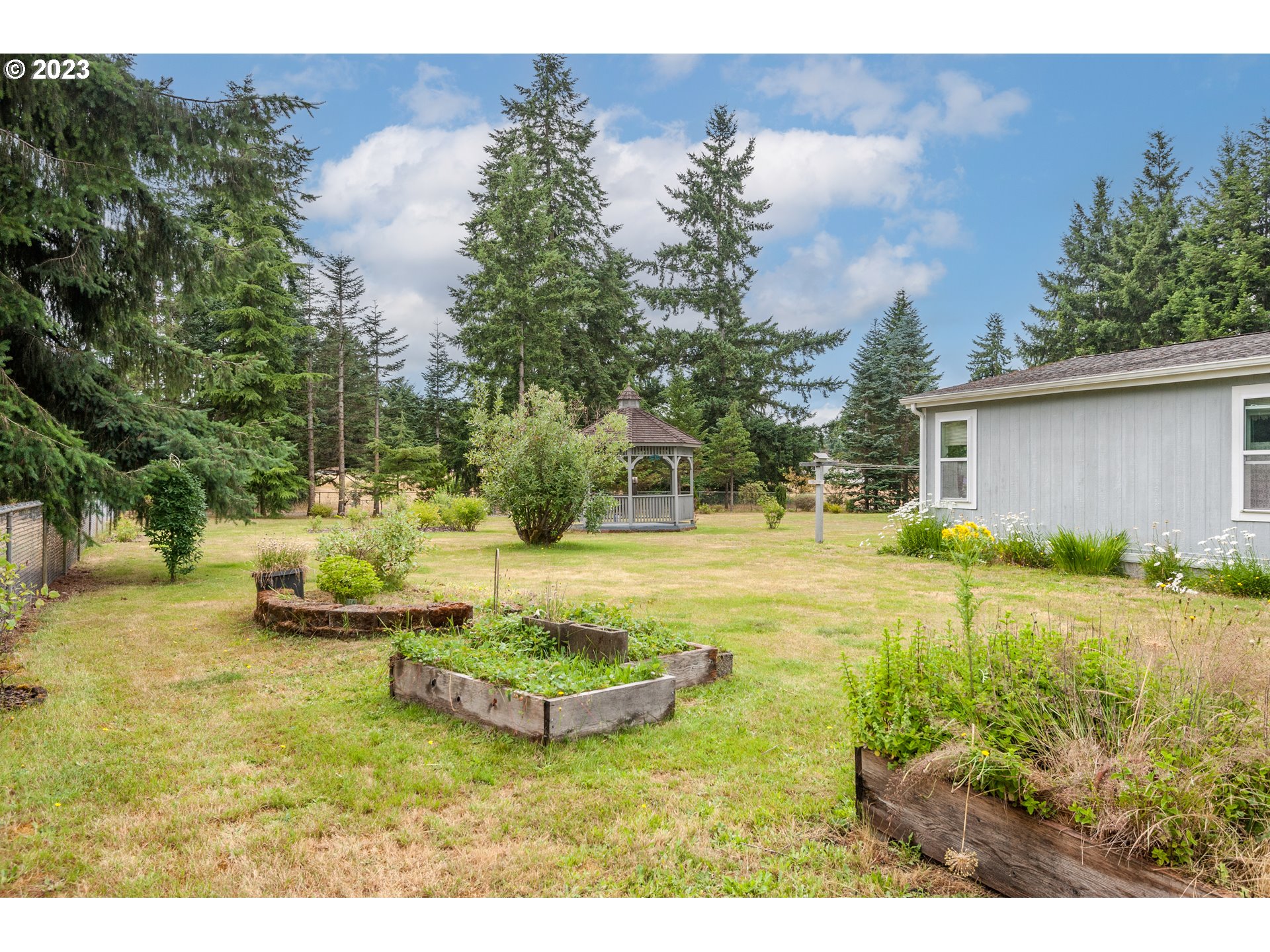 19119 Kelsey Marie Lane Southwest Rochester, WA 98579 - Photo 21 of 29 a view of a backyard with fountain plants and large tree