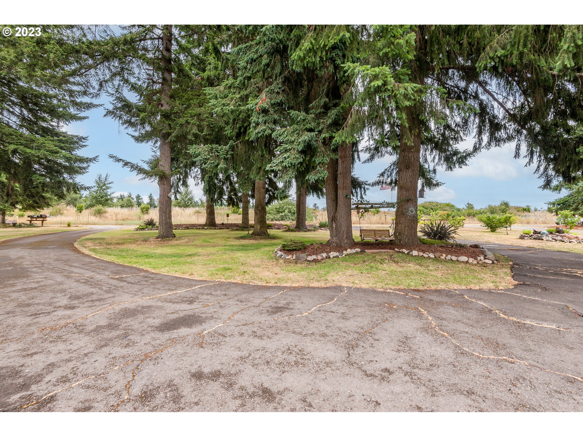 19119 Kelsey Marie Lane Southwest Rochester, WA 98579 - Photo 25 of 29 a view of a yard with a tree