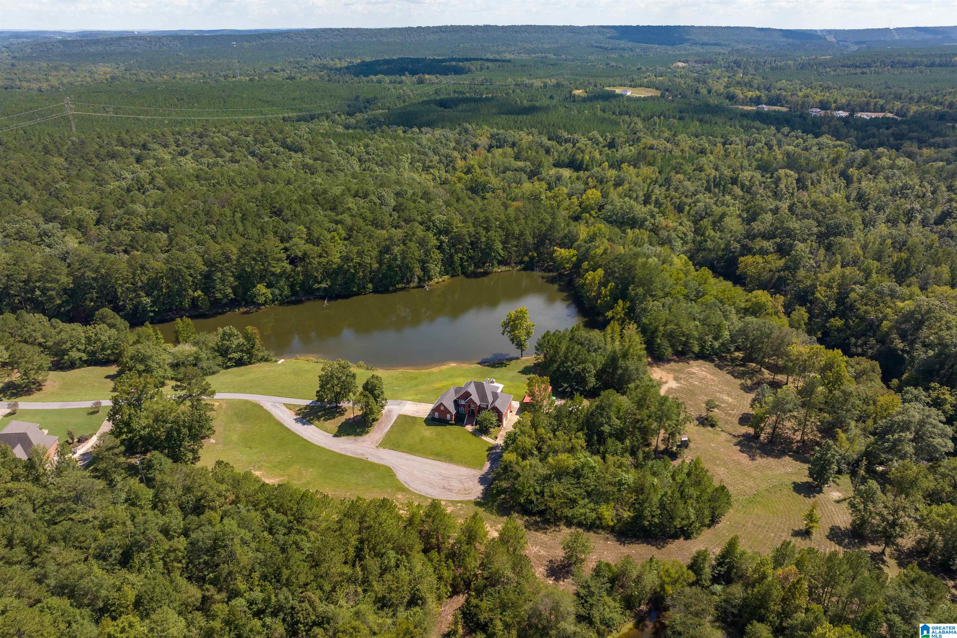 6677 Letson Lake Road Bessemer, AL 35023 - Photo 4 of 65
