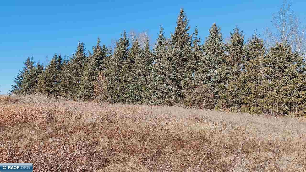 10478 Leander Road Angora, MN 55703 - Photo 27 of 36