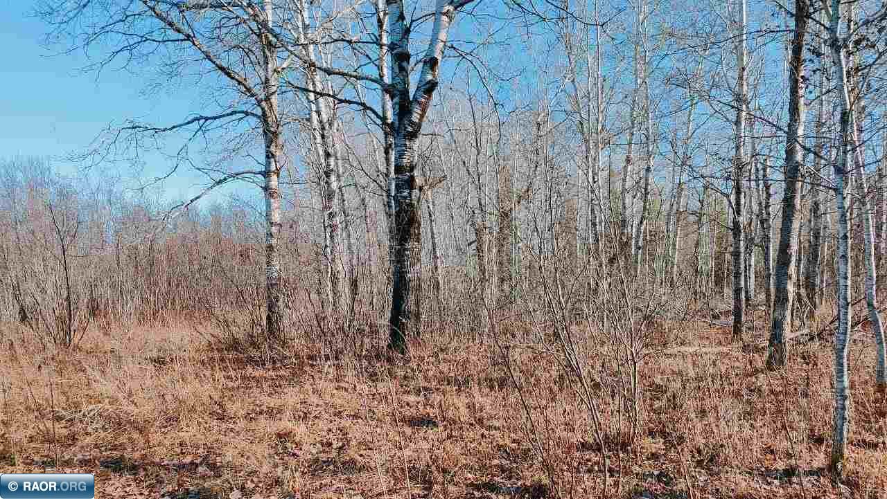 10478 Leander Road Angora, MN 55703 - Photo 28 of 36