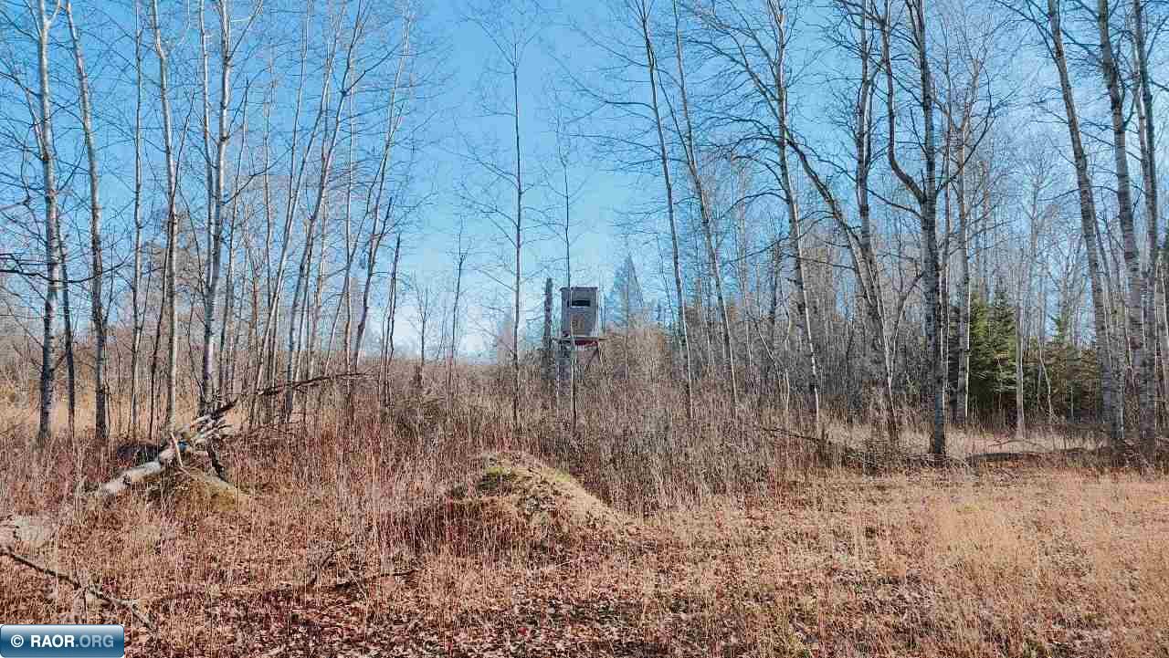 10478 Leander Road Angora, MN 55703 - Photo 29 of 36