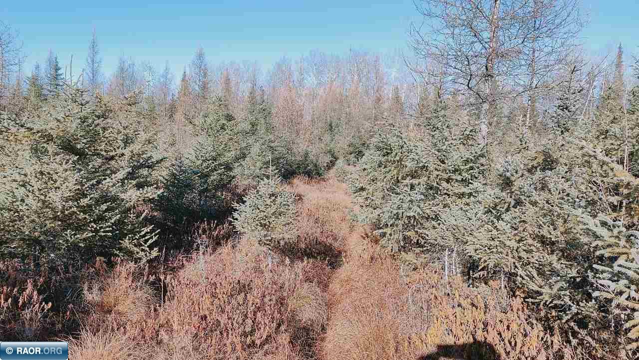 10478 Leander Road Angora, MN 55703 - Photo 30 of 36