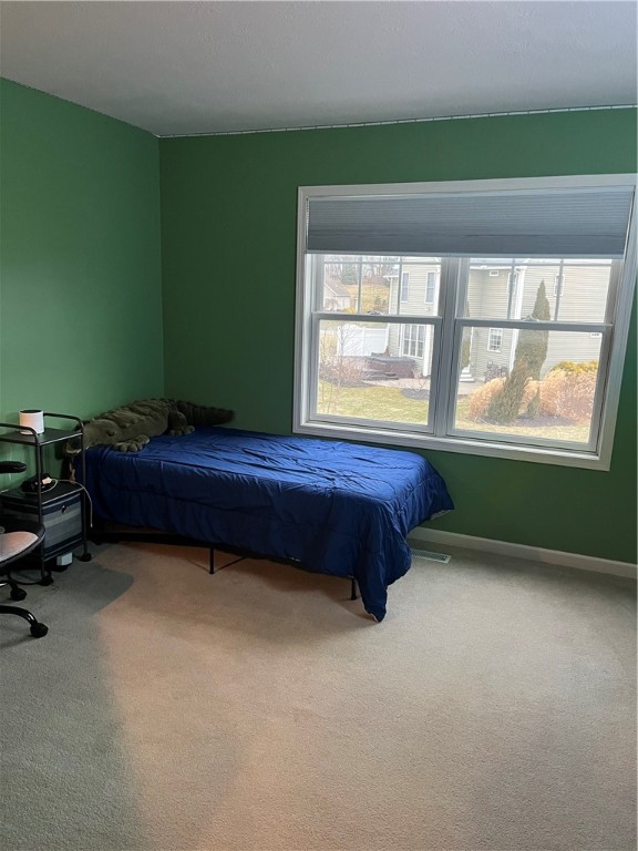 29 Copper Beech Run Perinton, NY 14450 - Photo 28 of 46