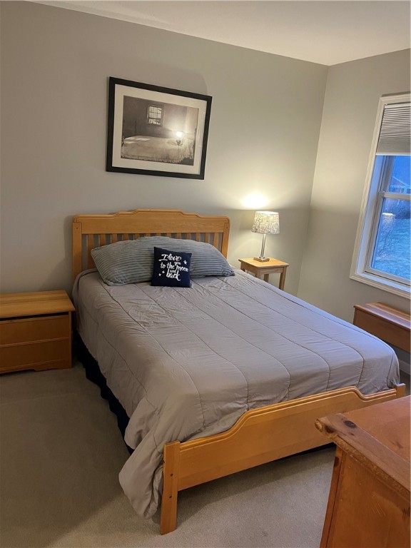 29 Copper Beech Run Perinton, NY 14450 - Photo 33 of 46