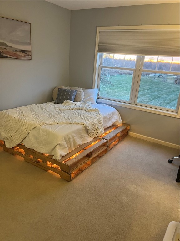 29 Copper Beech Run Perinton, NY 14450 - Photo 42 of 46