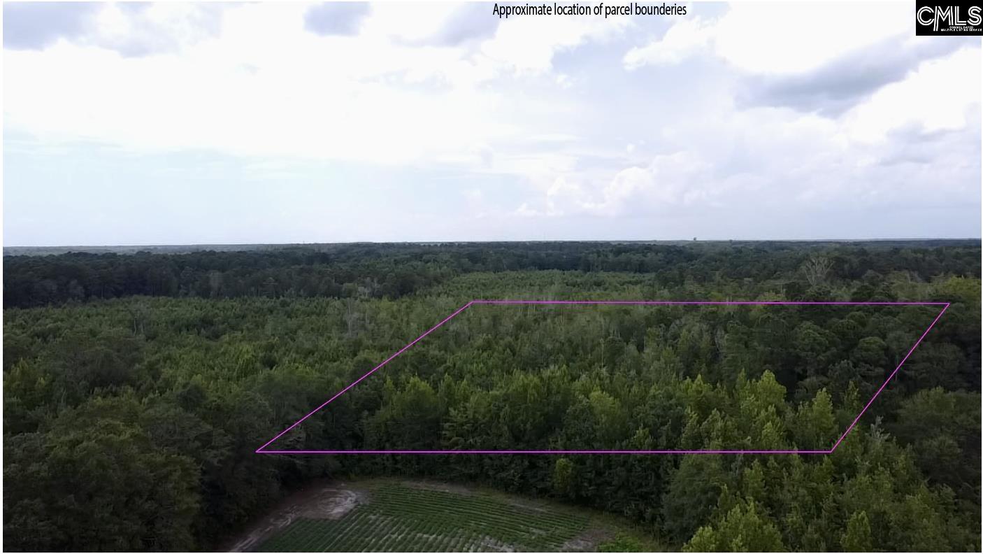 Tbd Baxley Road Bowman, SC 29018 - Photo 3 of 3