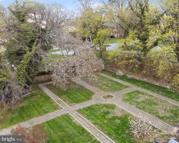 a view of yard with tree