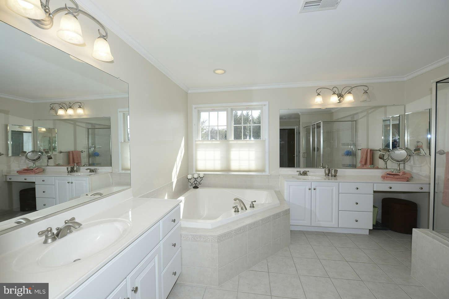 7741 Browns Bridge Road Highland, MD 20777 - Photo 15 of 30 Bath (Master)