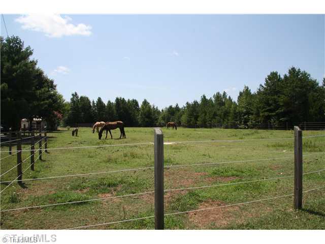 5002 Millpoint Road Greensboro, NC 27406 - Photo 13 of 13 Other. Fenced Pasture