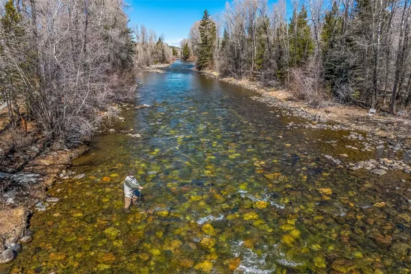 a view of a yard with trees
