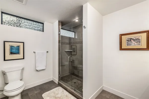 a bathroom with a shower and toilet