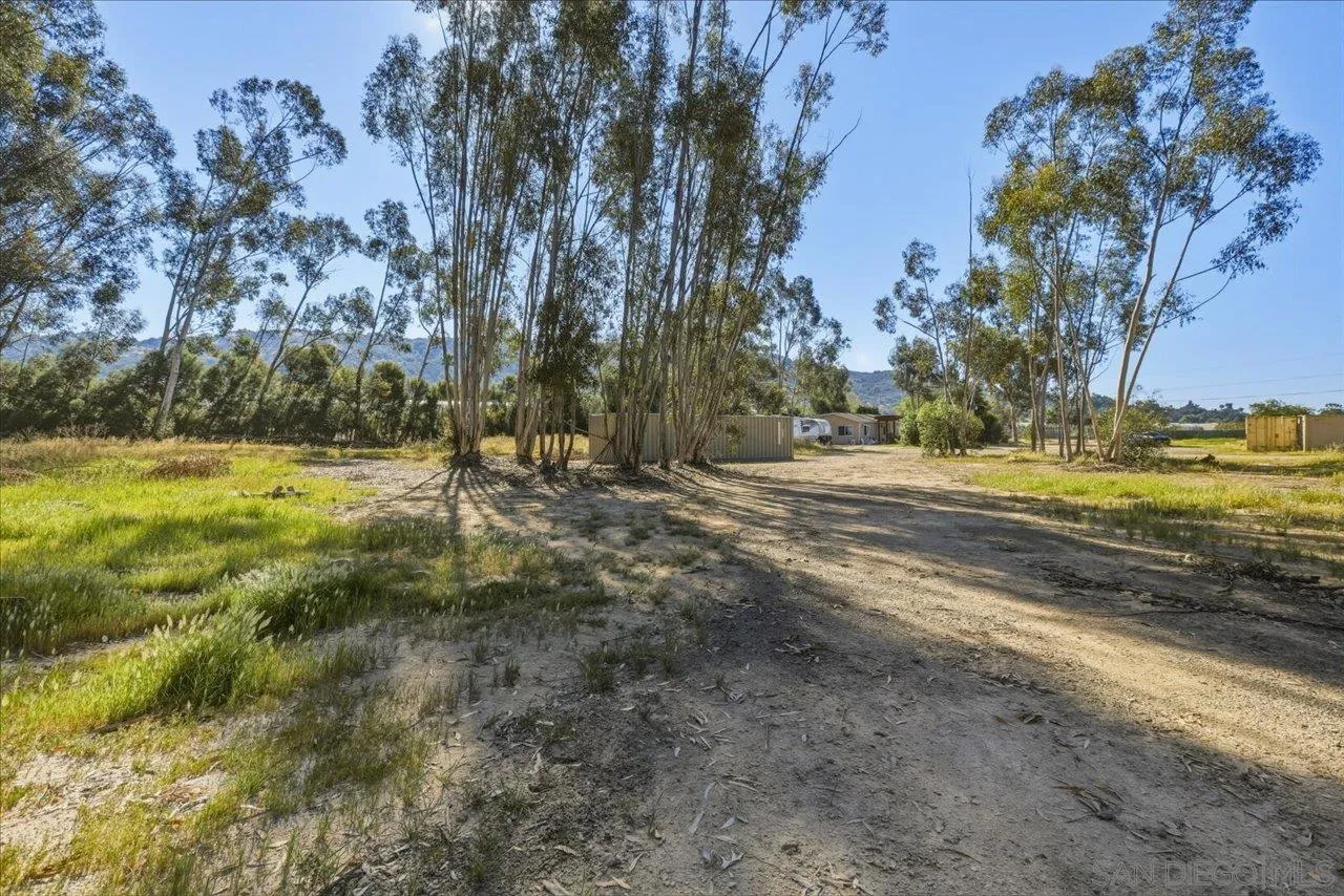 5461 Rainbow Creek Road Fallbrook, CA 92028 - Photo 26 of 36 a view of a yard with a tree