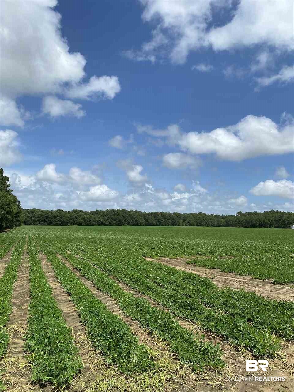 19380 Rada Road Silverhill, AL 36576 - Photo 2 of 6