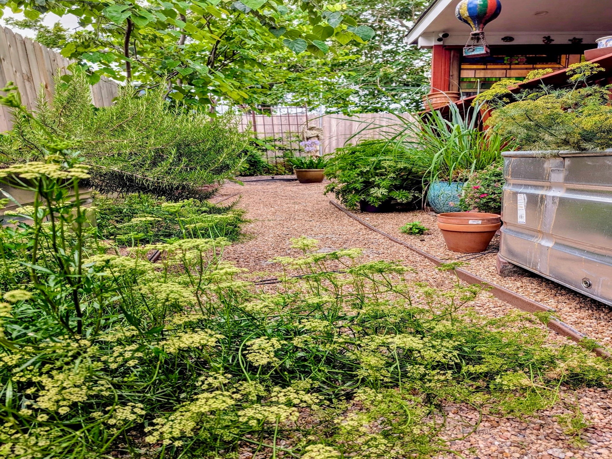 710 East 28th Street Houston, TX 77009 - Photo 43 of 44 a garden view with a seating space