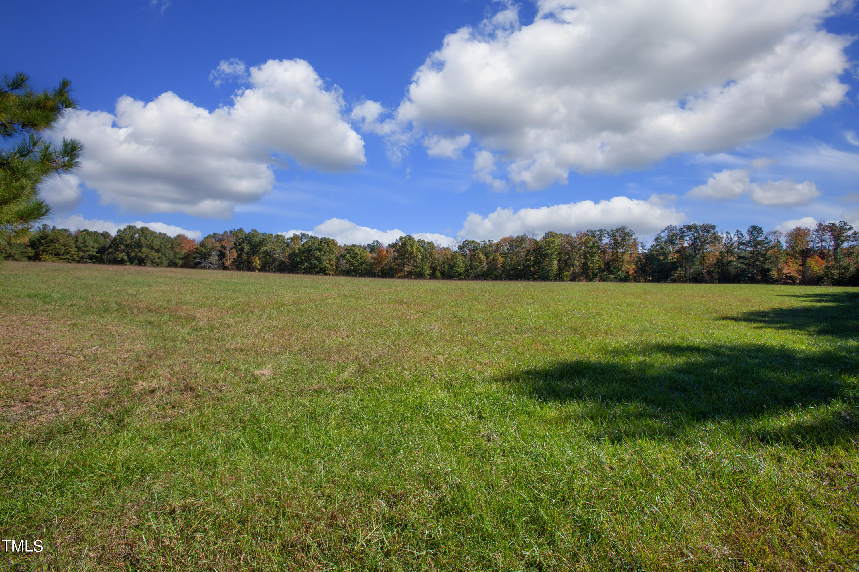 0 Uzzle Road Rougemont, NC 27572 - Photo 11 of 12 Uzzle Road Grounds 14